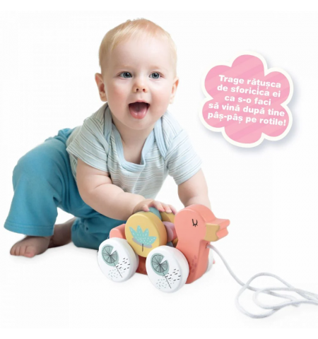 Noriel Bebe INT4586 Игрушка Ratusca pe Rotile Noriel Bebe INT4586 Игрушка Ratusca pe Rotile