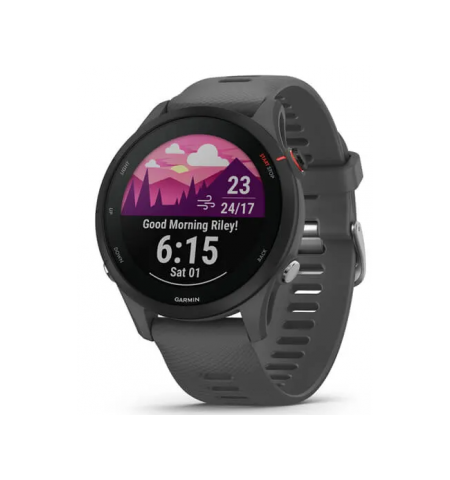 Garmin Forerunner 255 Slate Grey