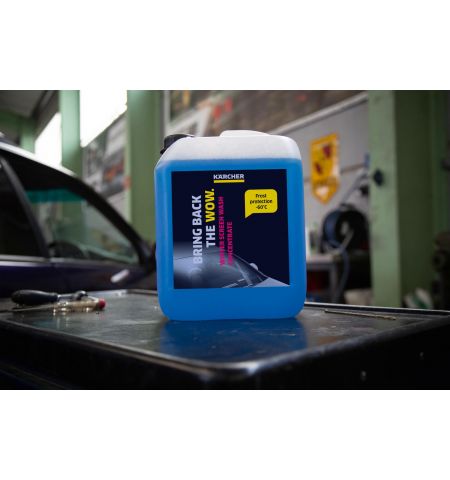 зимняя стеклоомывающая жидкость rm 670 (концентрат) зимняя стеклоомывающая жидкость rm 670 (концентрат)