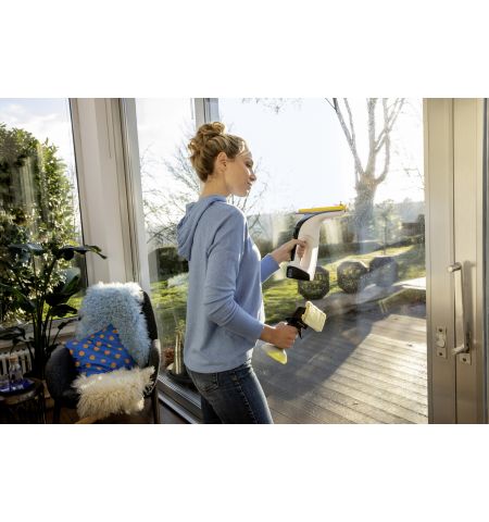 Оконный пылесос WV 4-4 Plus