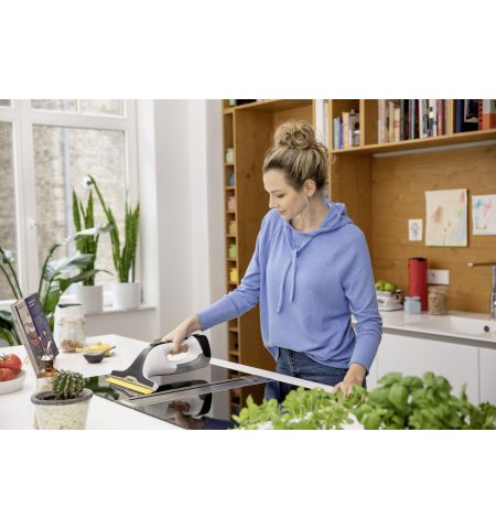 Оконный пылесос WV 4-4 Plus