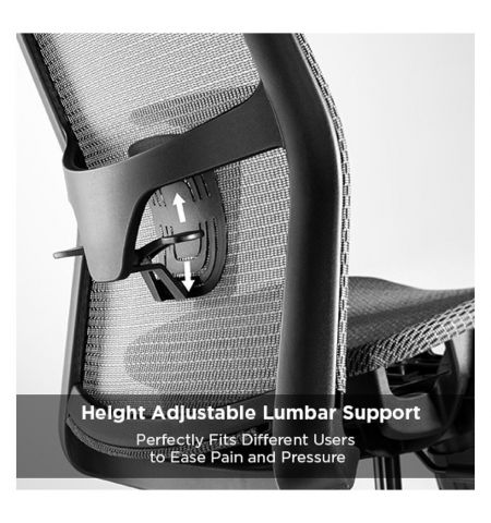 Кресло офисное Lumi Ergonomic Office Chair CH05-18, Black, Headrest, Elastic Breathable Mesh Seat and Back, Pneumatic Seat-Height Adjustment,  Nylon Base, PU Hooded Caster, 100mm Class 4 Gas Lift, Weight Capacity 150 Kg Кресло офисное Lumi Ergonomic Office Chair CH05-18, Black, Headrest, Elastic Breathable Mesh Seat and Back, Pneumatic Seat-Height Adjustment,  Nylon Base, PU Hooded Caster, 100mm Class 4 Gas Lift, Weight Capacity 150 Kg