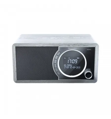 Radio portabil Sharp DR-450GRV02, Grey