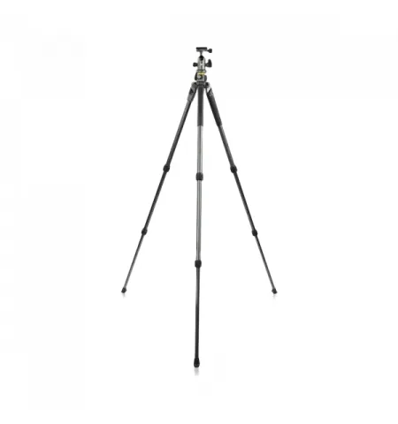 Tripied Foto-Video Vanguard ALTA PRO2+ 263AB 100, Cap trepied de minge, Gri