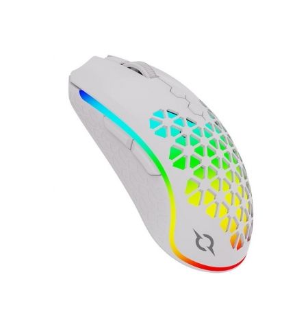 Aqirys Polaris White