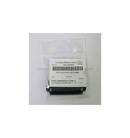 TOSHIBA ASYS-HOLD-PAD-H21X