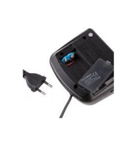 Часы  FIRST  FA-2410-BA Часы  FIRST  FA-2410-BA