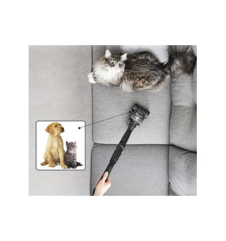 Пылесос с контейнером Rowenta  RO4886EA Пылесос с контейнером Rowenta  RO4886EA