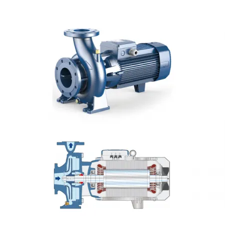 Центробежный насос стандарта "EN 733" Pedrollo F32/160B 2,2 kW
