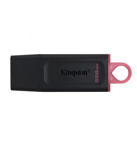 Флеш-накопитель USB Kingston DataTraveler Exodia 256ГБ