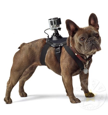 Крепление-упряжка для собак GoPro Fetch Dog Harness