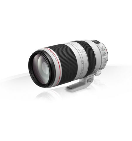 Zoom Lens Canon EF 100-400 mm f/4.5-5.6L IS USM (9524B005)