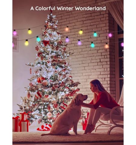 Наружняя светодиодная лента GOVEE RGBIC Smart Outdoor String Lights 15m, 15 Light Bulbs