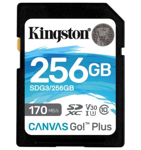 Карта памяти Kingston Canvas Go! Plus SD 256GB