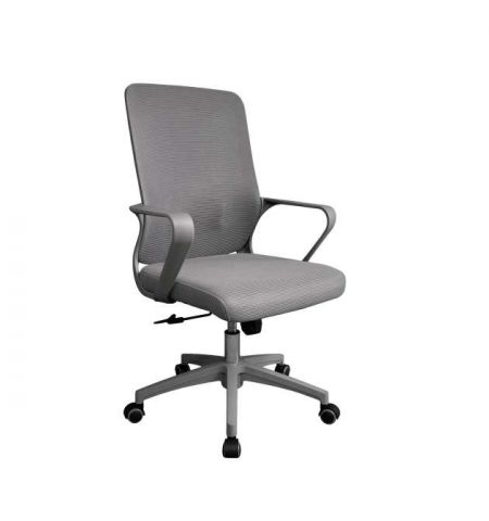 Fotoliu Birou F-20141 A~Grey Seat+Grey Frame