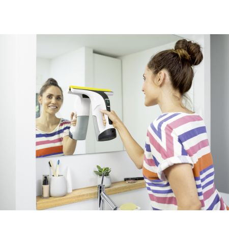 Aspirator geamuri WV 6 Plus