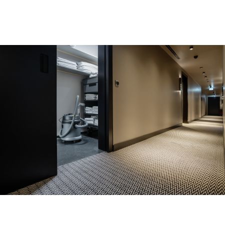 Aspirator umed-uscat profesional NT 27/1