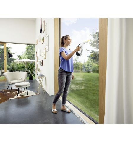 Aspirator geamuri WV 6 Plus