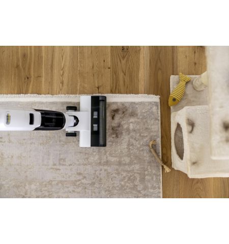 Aspirator vertical cu spalare FCV 2 Natural N