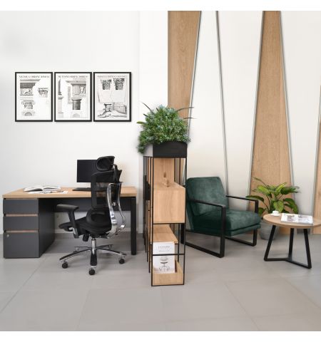 Fotoliu YORK Emerald