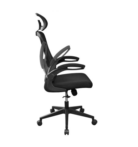 Fotoliu Biorou JASPER Black