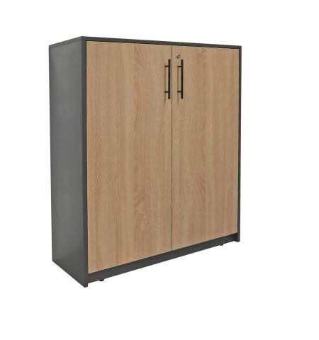 Dulap Birou 2 Uși