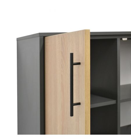 Dulap Birou 2 Uși