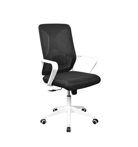 Fotoliu Birou F-20141 A Black+White Frame