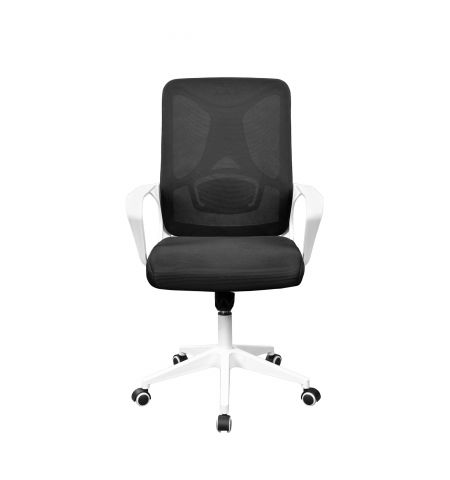 Fotoliu Birou F-20141 A Black+White Frame