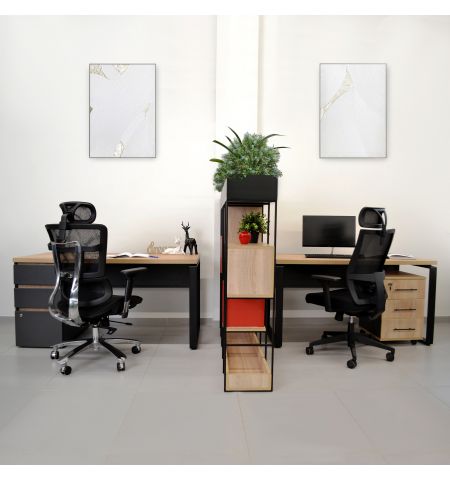 Casetieră Rollbox Sonoma/Anthracite