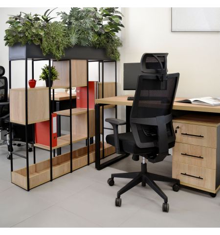 Casetieră Rollbox Sonoma/Anthracite