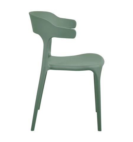 Scaun Spring Green