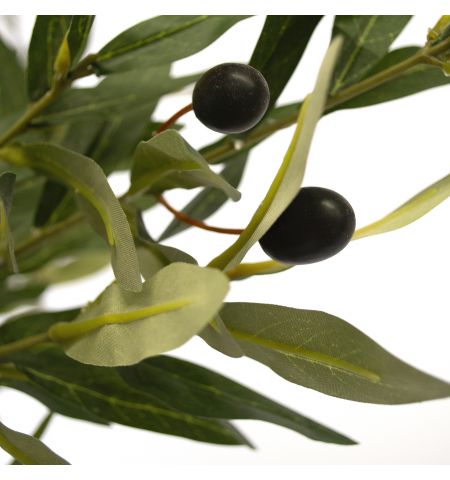 Arbore de Maslin 180 cm