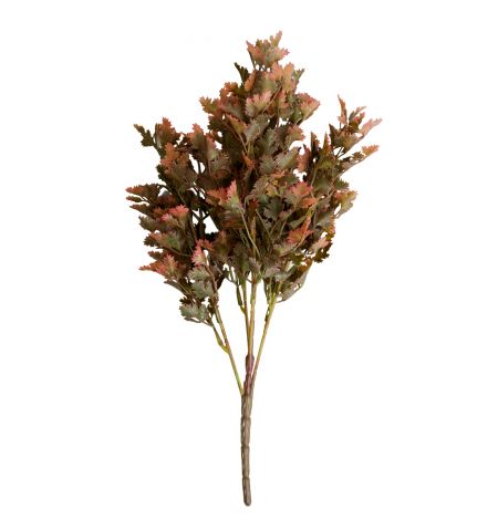 Arbust decorativ de Toamna