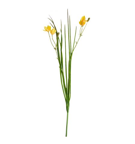 Floare decorativa Iris Galben