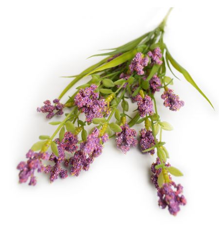 Ramura decorativa Levantica