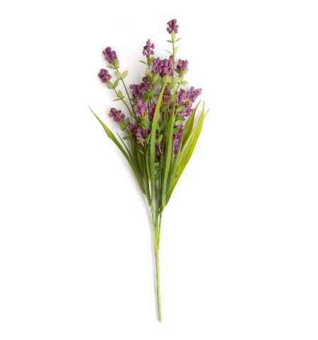 Ramura decorativa Levantica