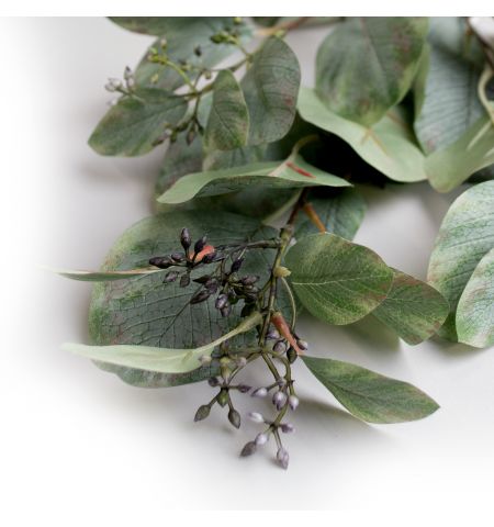 Ramura decorativa de Eucalipt