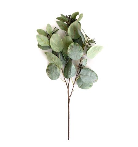 Ramura decorativa de Eucalipt