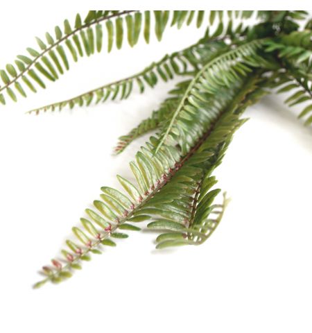 Ramura decorativa de Feriga