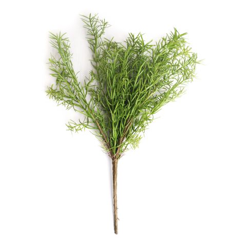 Ramura decorativa de Rozmarin