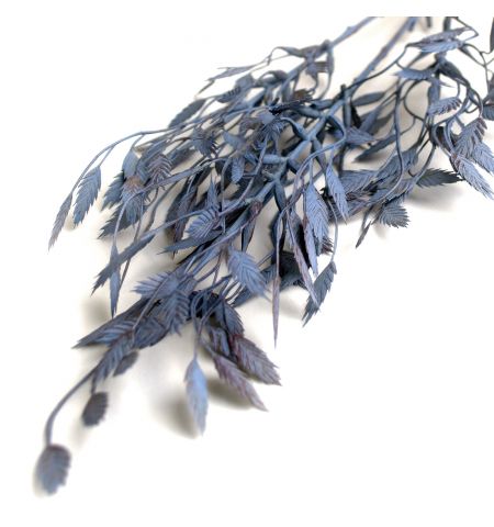 Ramura decorativa de Ruscus