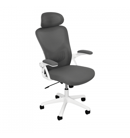 Fotoliu Birou Horus Grey