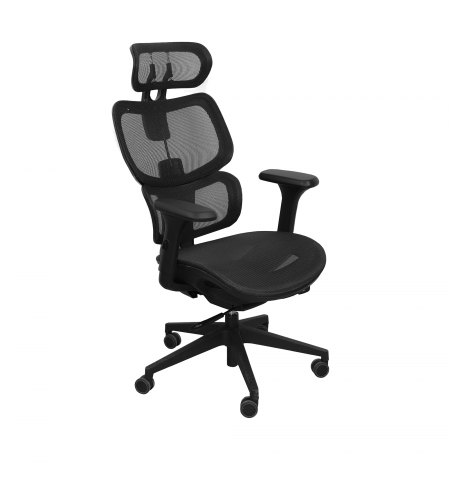 Fotoliu Birou Gomez~Black