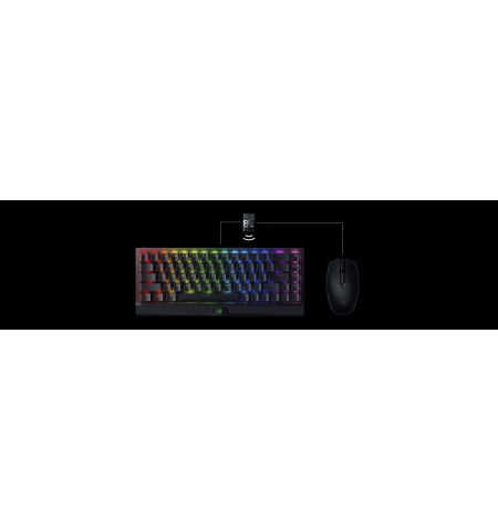 Keyboard RAZER BlackWidow V3 Mini HyperSpeed (Yellow Switch) - Russian Layout