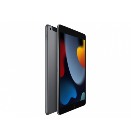 Apple iPad 10.2 2021 64Gb WiFi Space Grey