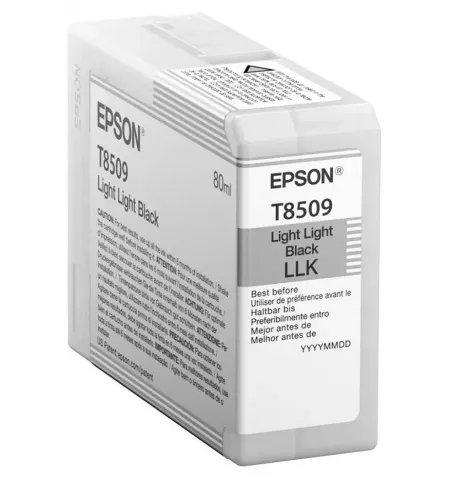 Cartus de cerneala Epson T850 UltraChrome HD, 80ml, Negru deschis