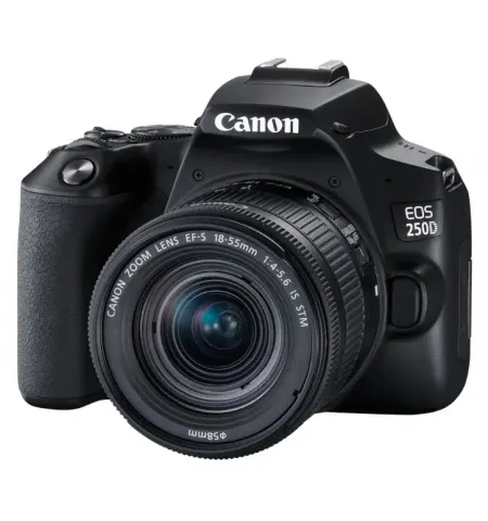 Aparat foto DSLR Canon EOS 250D + EF-S 18-55 DC III, Negru