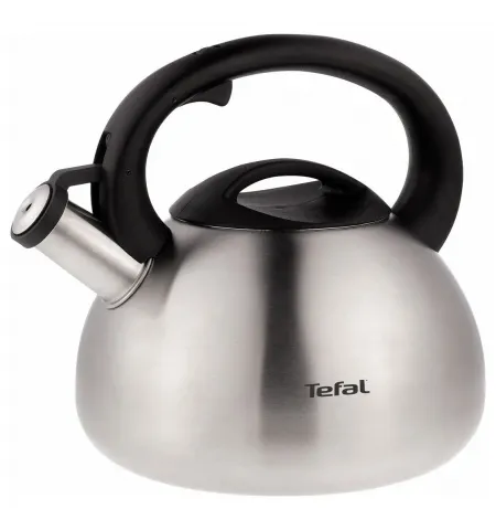 Чайник Tefal C7921024, 2,5л, Серебристый