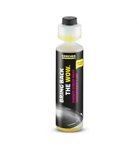 Solutie de curatat parbrizul Karcher RM 672, 250ml